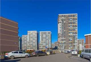 滨湖区耐干旱绿植租赁厂商